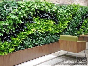 фитодизайн, вертикальное озеленение, фитомодули, живая стена, озеленение интерьеров, ландшафтный дизайн