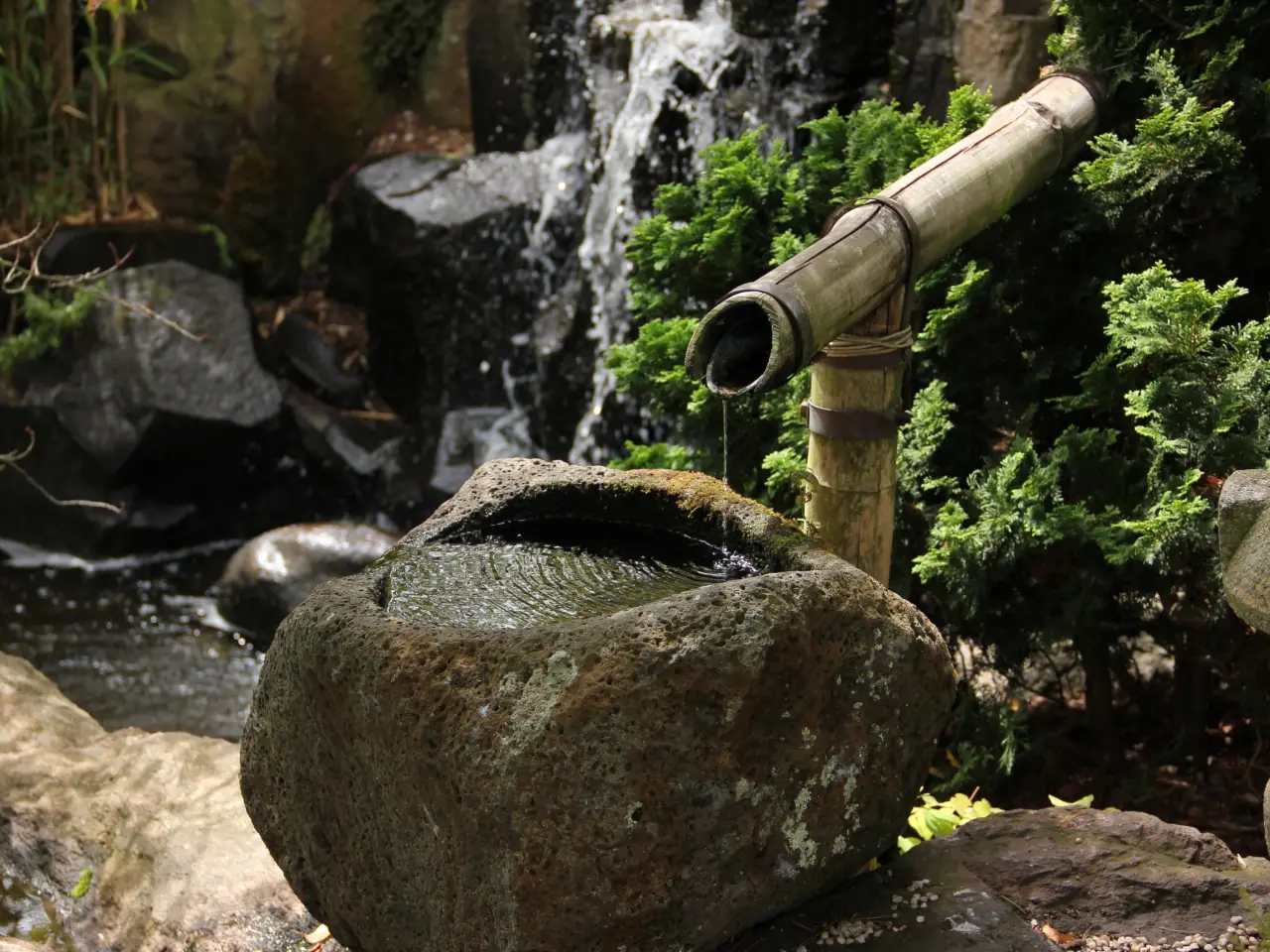 цукубай, водные объекты в японском саду