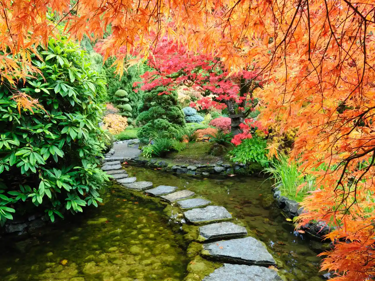 японский сад, дорожка