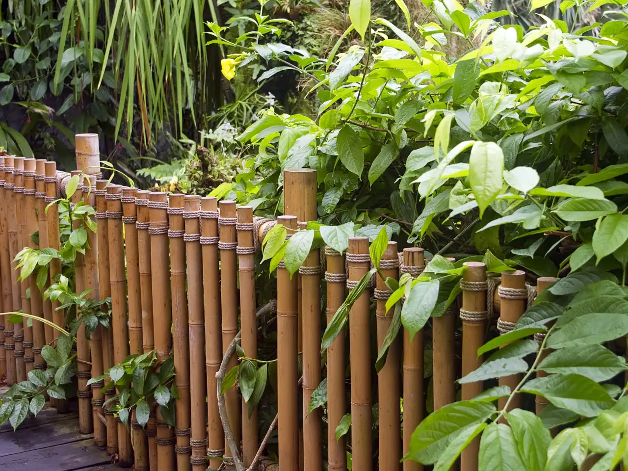 японский сад, ограждение из бамбука