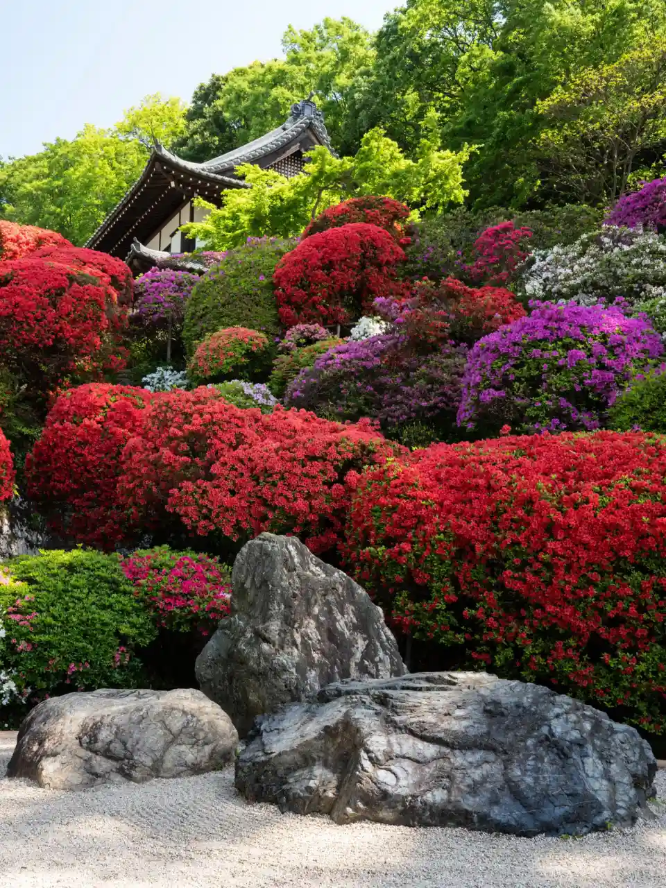 киото, японский сад