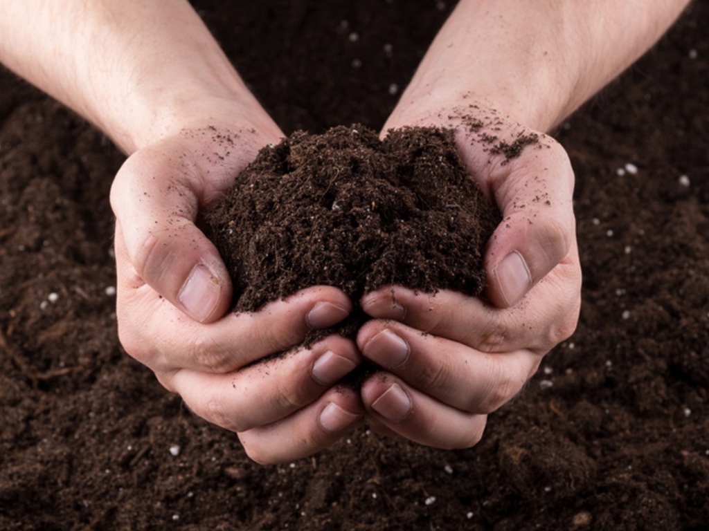 подготовка почвы, плодородная почва