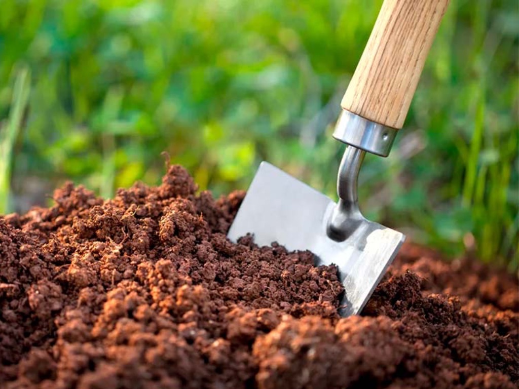 подготовка почвы, плодородный грунт